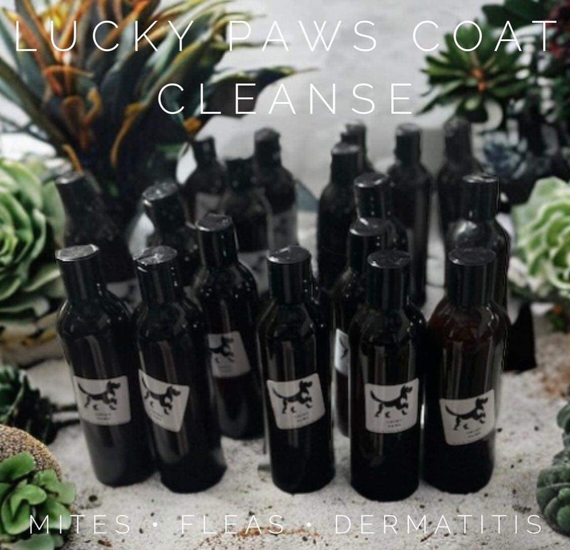 Lucky Paw coat cleanse by SMK