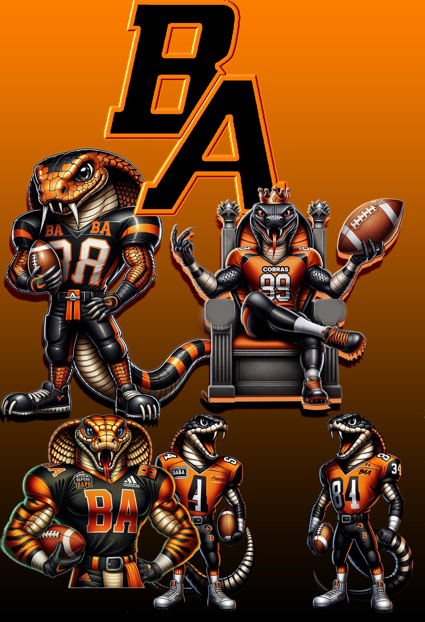 Boyd H. Anderson Homecoming shirts