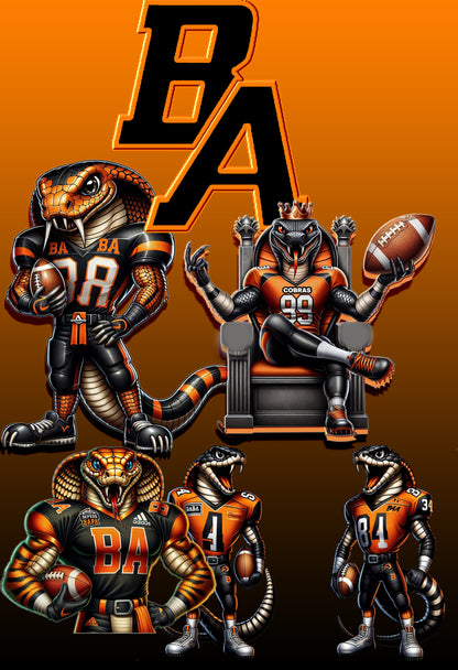 Boyd H. Anderson Homecoming shirts